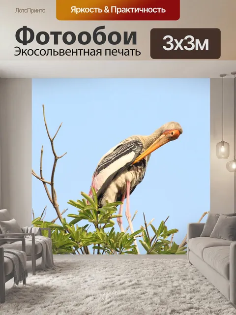 Фотообои Птицы