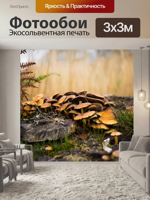 Фотообои гриб