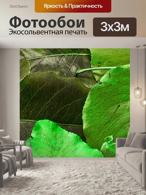 Фотообои Зеленые листья Баннер