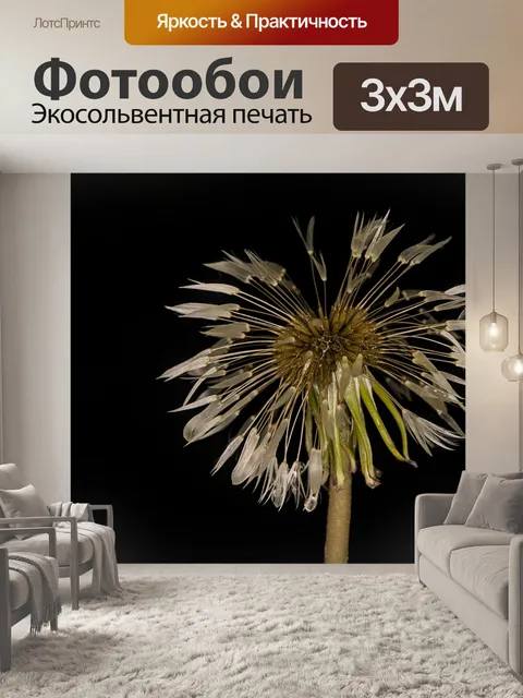 Фотообои Цветок