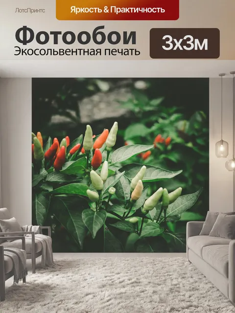 Фотообои Чили