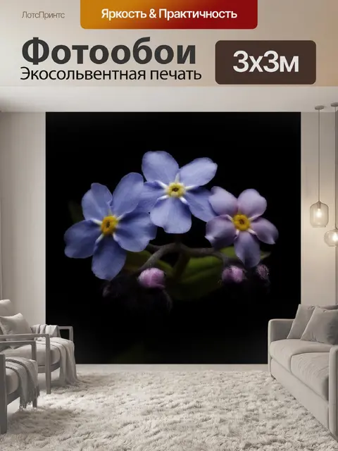 Фотообои Цветы