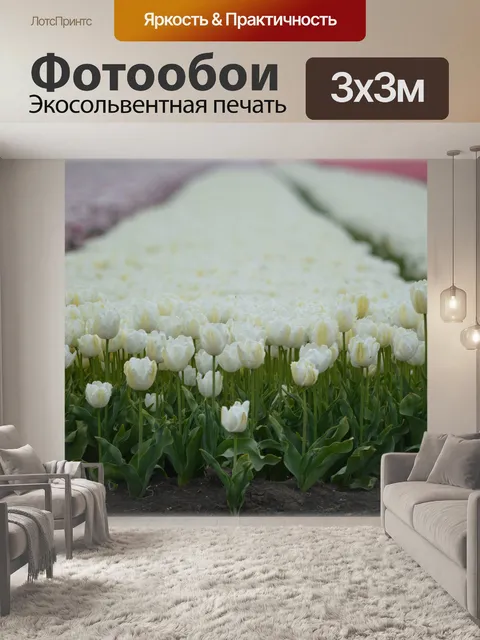 Фотообои Тюльпаны поле 2