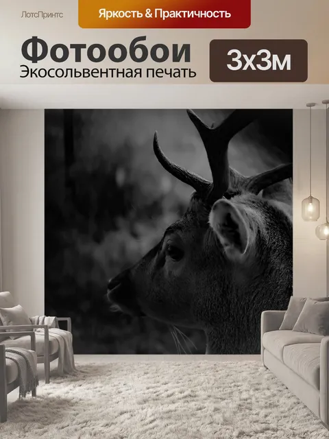 Фотообои Олень