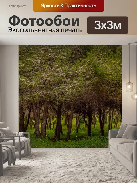 Фотообои Деревья