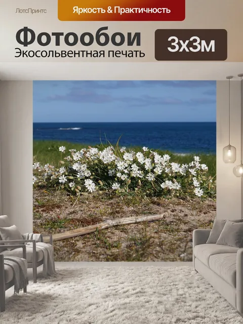 Фотообои Цветы