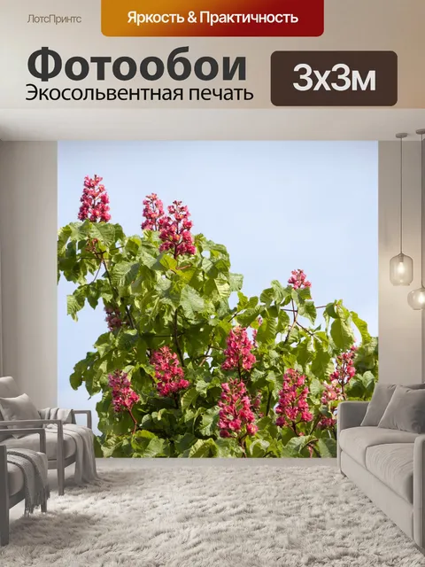 Фотообои Конский каштан дерево Цветы