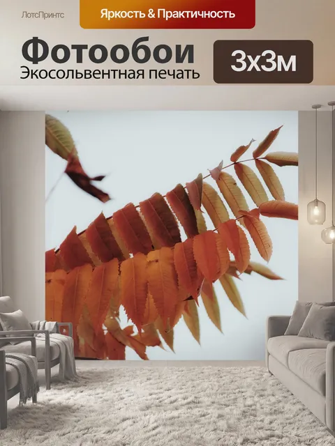 Фотообои Падение