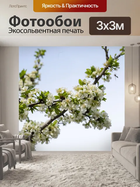 Фотообои Цветы
