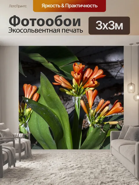 Фотообои занятая лилия