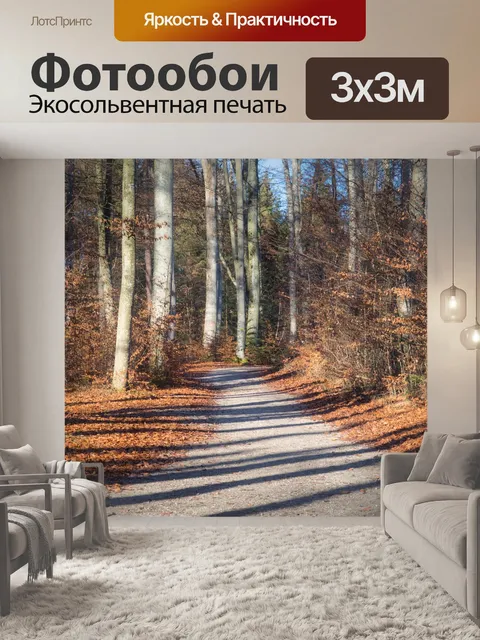 Фотообои Дорожка