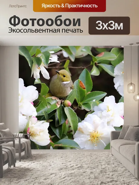 Фотообои Птицы