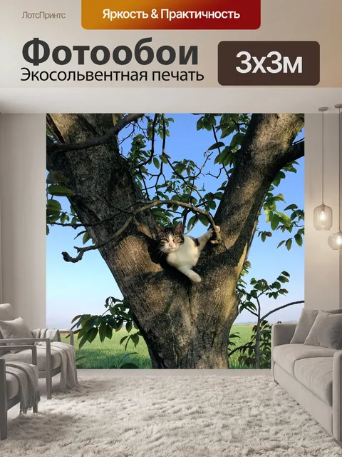 Фотообои Кошка