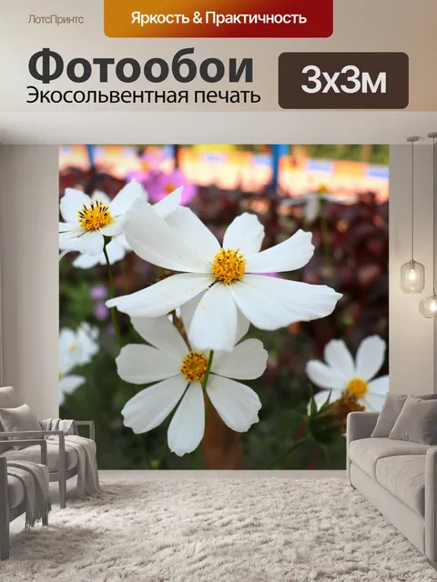 Фотообои Цветы