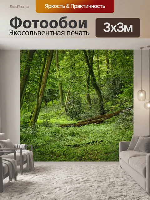 Фотообои Лес