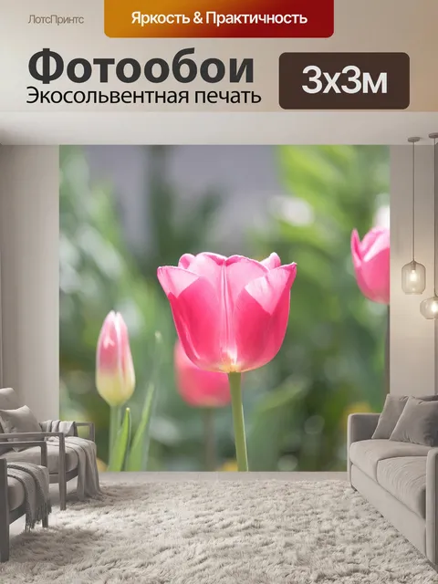 Фотообои Тюльпаны