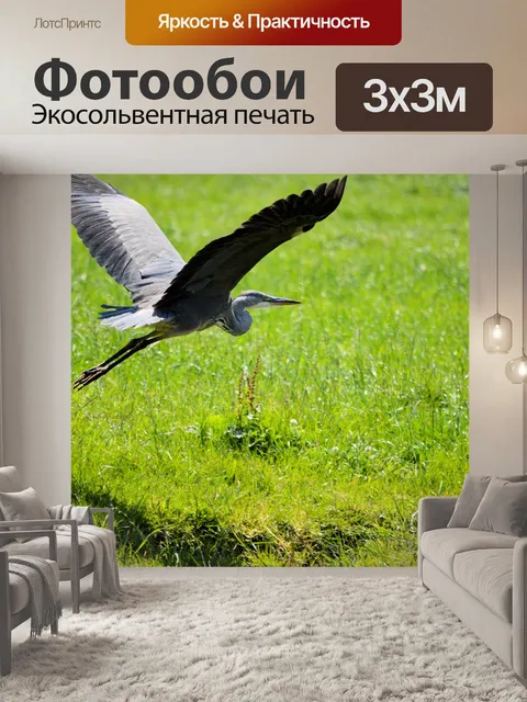 Фотообои Цапля