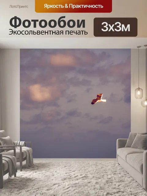 Фотообои Птица, парящая в закате Облачное небо