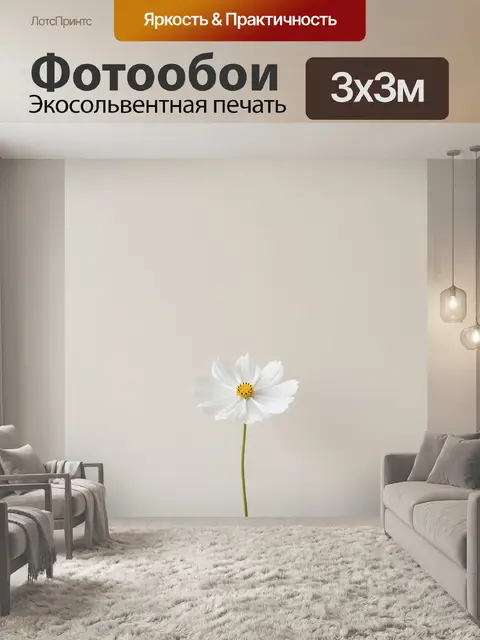 Фотообои Одинокий белый цветок на фоне