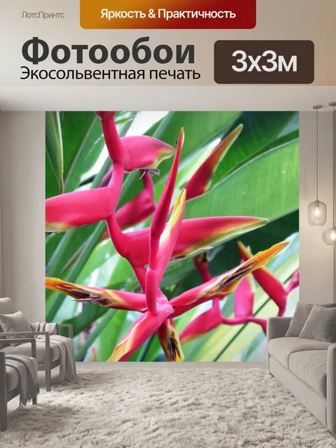 Фотообои Райская птица цветок