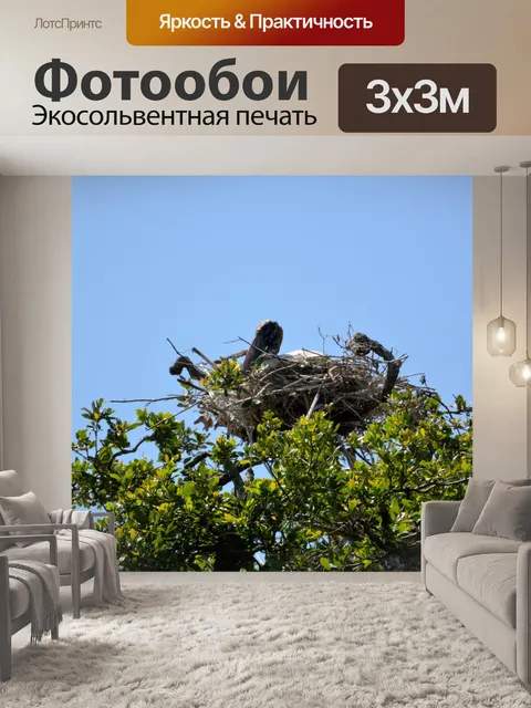 Фотообои Древесина Аист Верстка