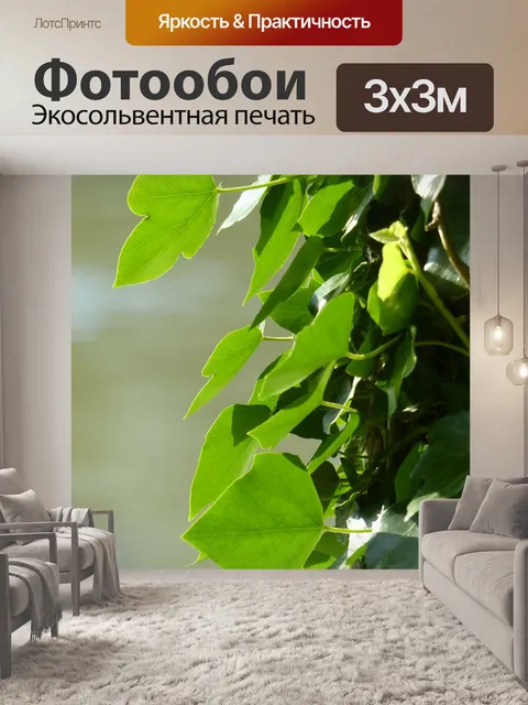 Фотообои Плющ