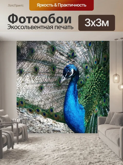 Фотообои Птица