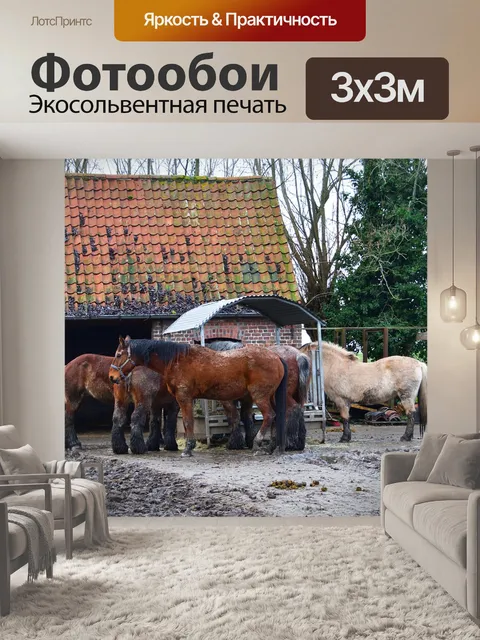Фотообои Лошади