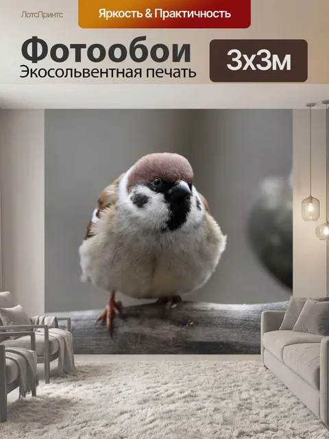Фотообои Воробей