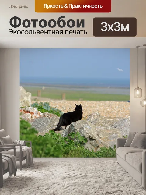 Фотообои Black Cat