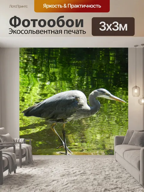 Фотообои Птицы