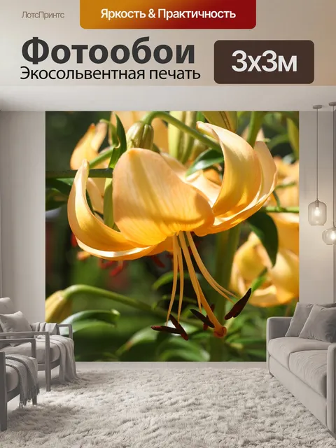 Фотообои Цветы
