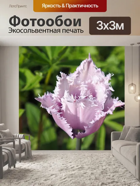 Фотообои Трава