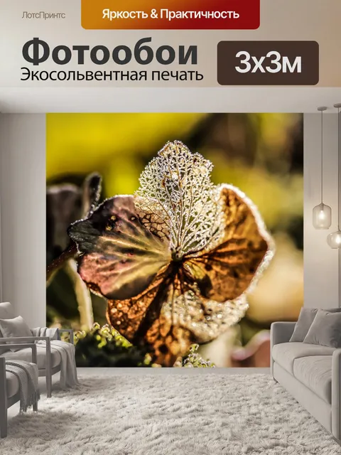 Фотообои Цветок гортензии
