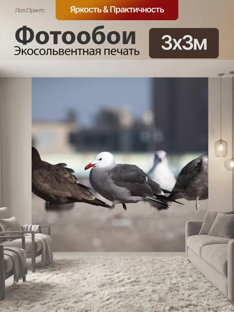 Фотообои Seagulls