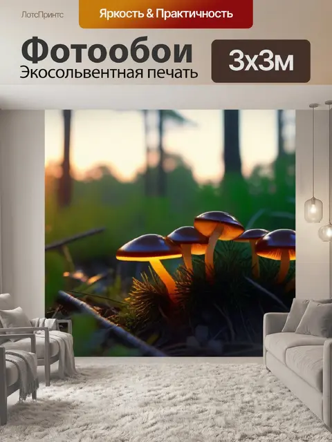 Фотообои грибы в подлеске, освещенные закатом