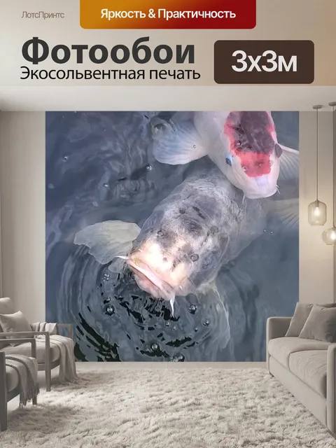 Фотообои Кои