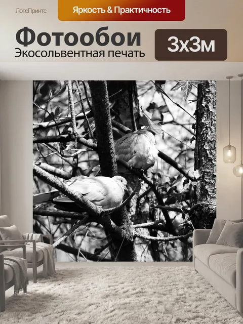Фотообои Пара горлиц