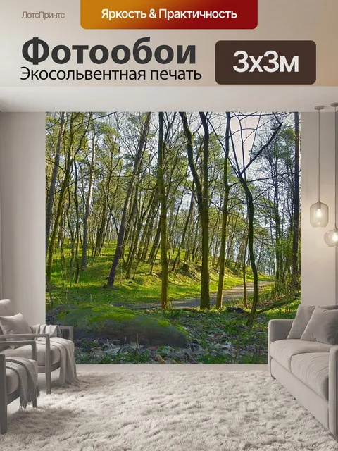 Фотообои Лес