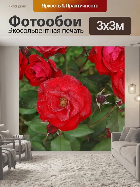 Фотообои Розы