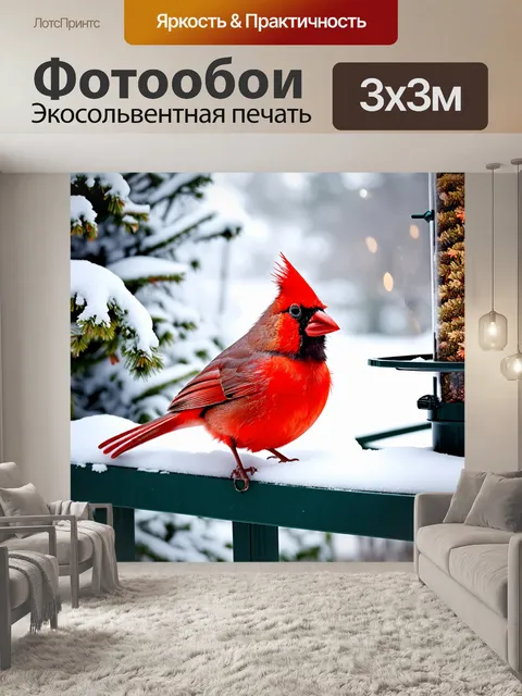 Фотообои красный кардинал, посещающий кормушку на террасе во время морозного утра, окруженный снежными сугробами и…