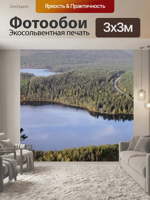 Фотообои Лес