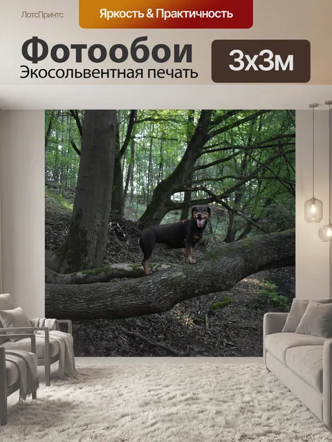 Фотообои Счастливый