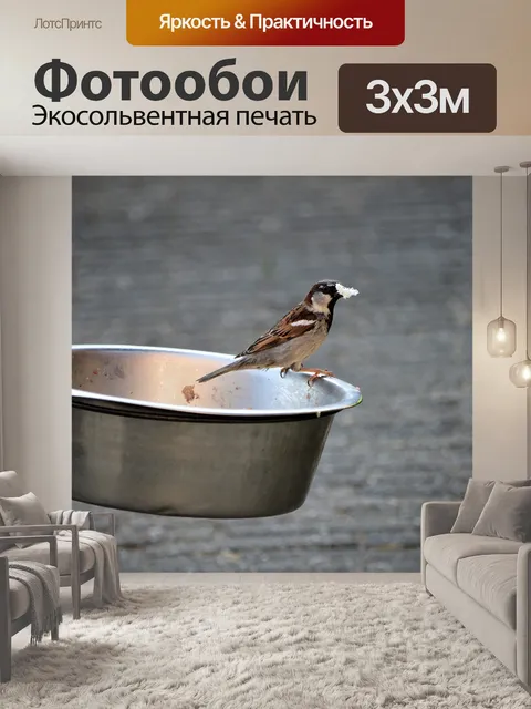 Фотообои Воробей