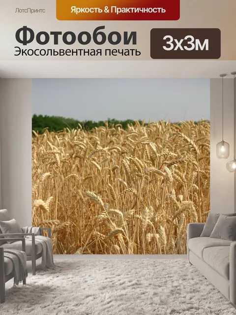 Фотообои Панорама