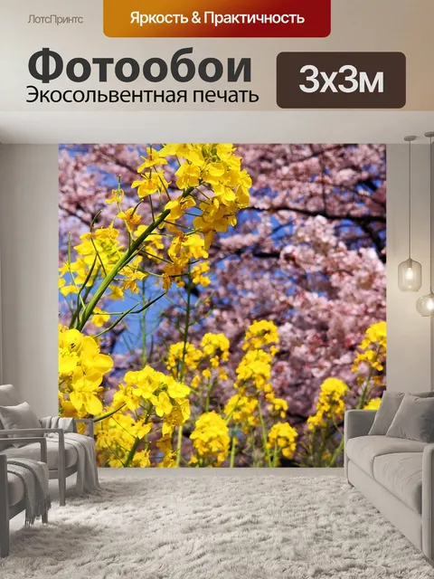 Фотообои Цветы