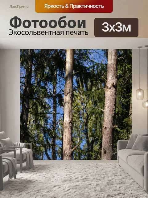 Фотообои Деревья