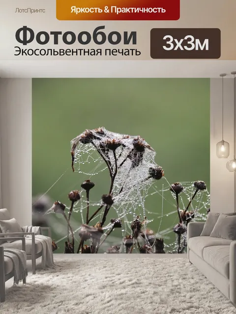 Фотообои Паутина