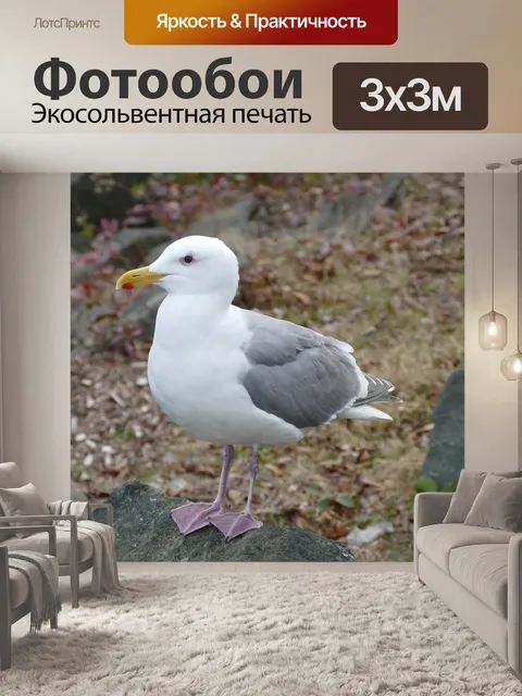 Фотообои Птица