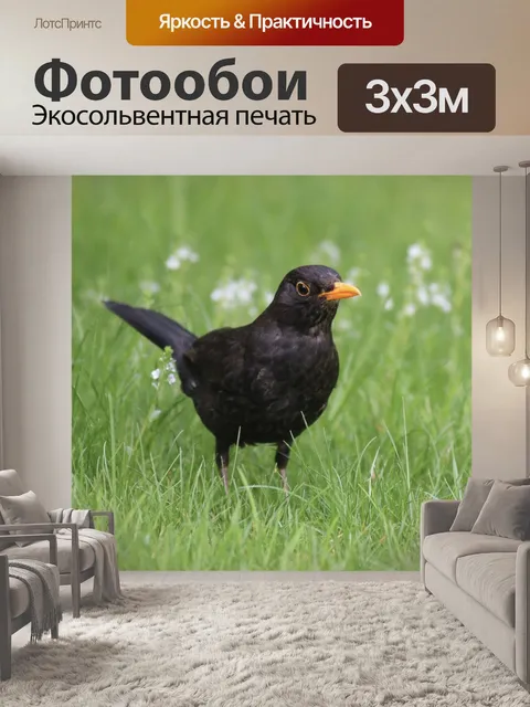 Фотообои Трава